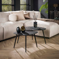 Couchtisch Metallic organisch Set aus 2