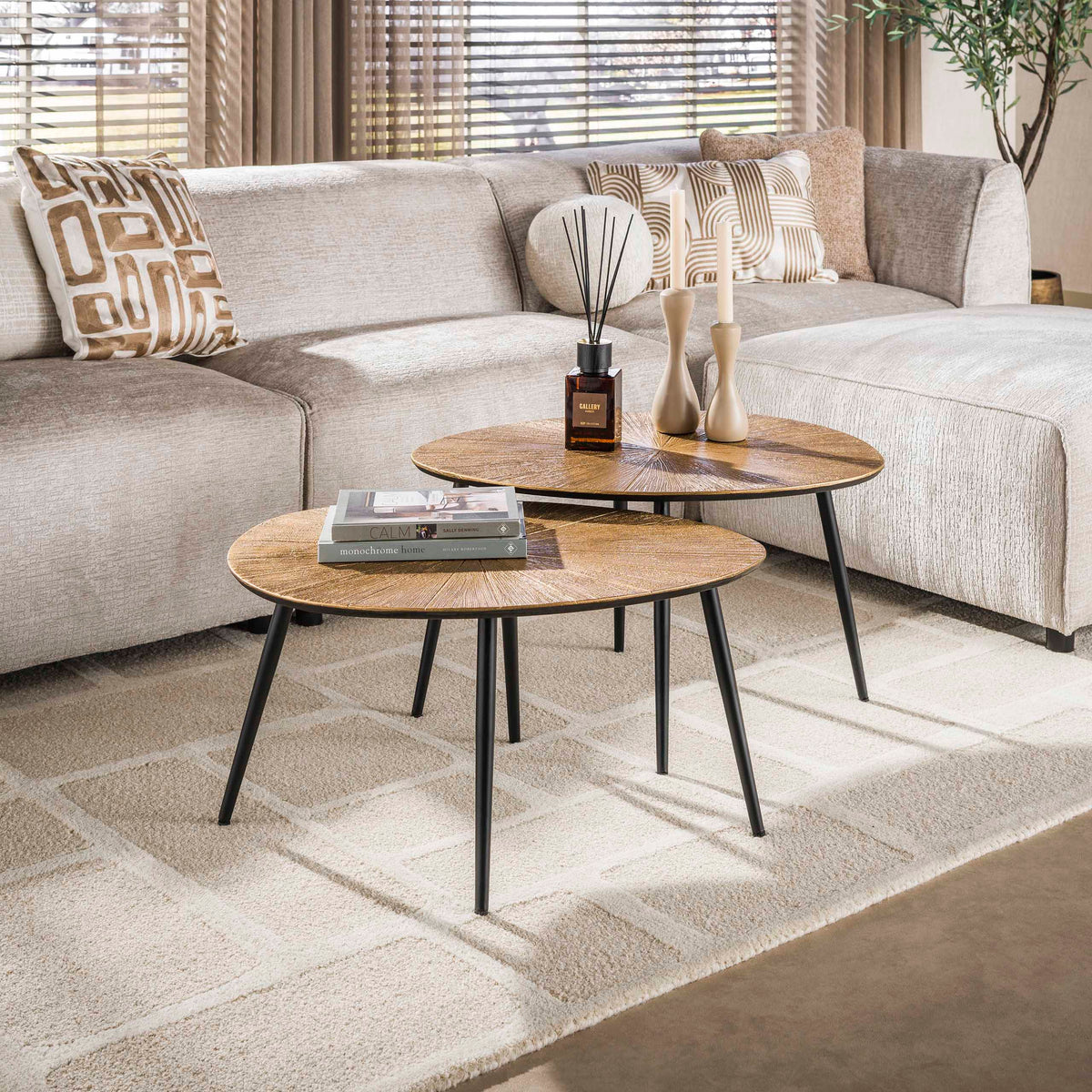 Couchtisch Ray organisch Set aus 2