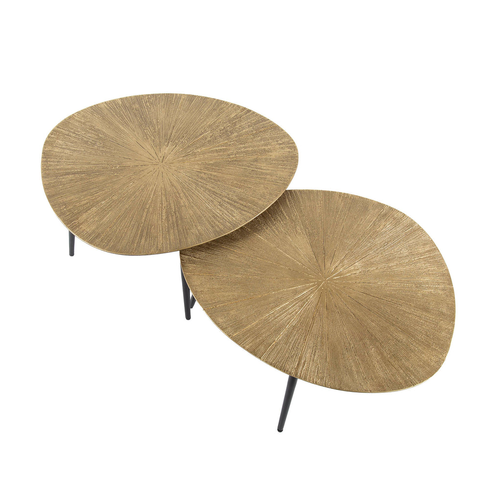 Couchtisch Ray organisch Set aus 2