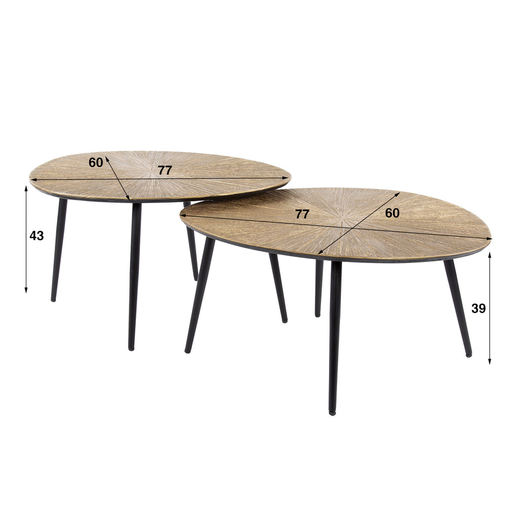 Couchtisch Ray organisch Set aus 2