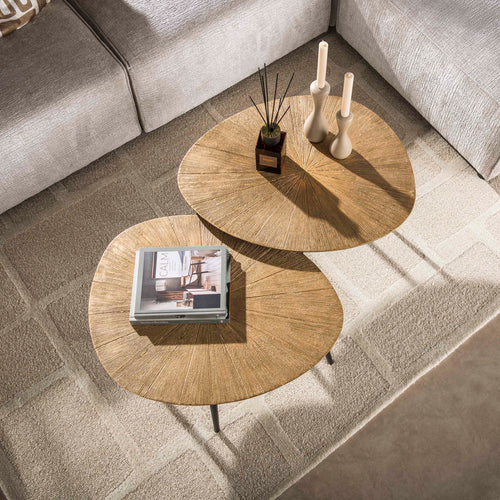 Couchtisch Ray organisch Set aus 2