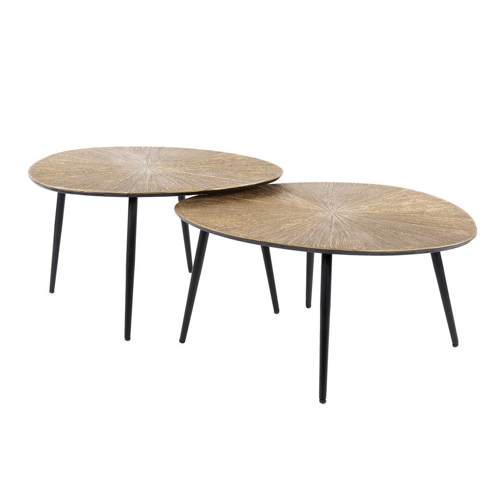 Couchtisch Ray organisch Set aus 2