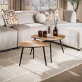 Couchtisch Ray nierenform Set aus 2