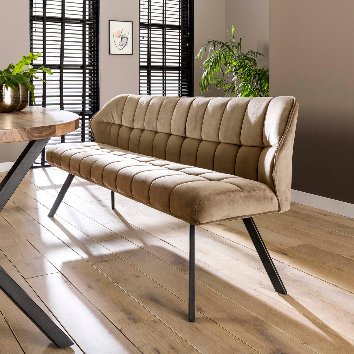 Dining bench Raster