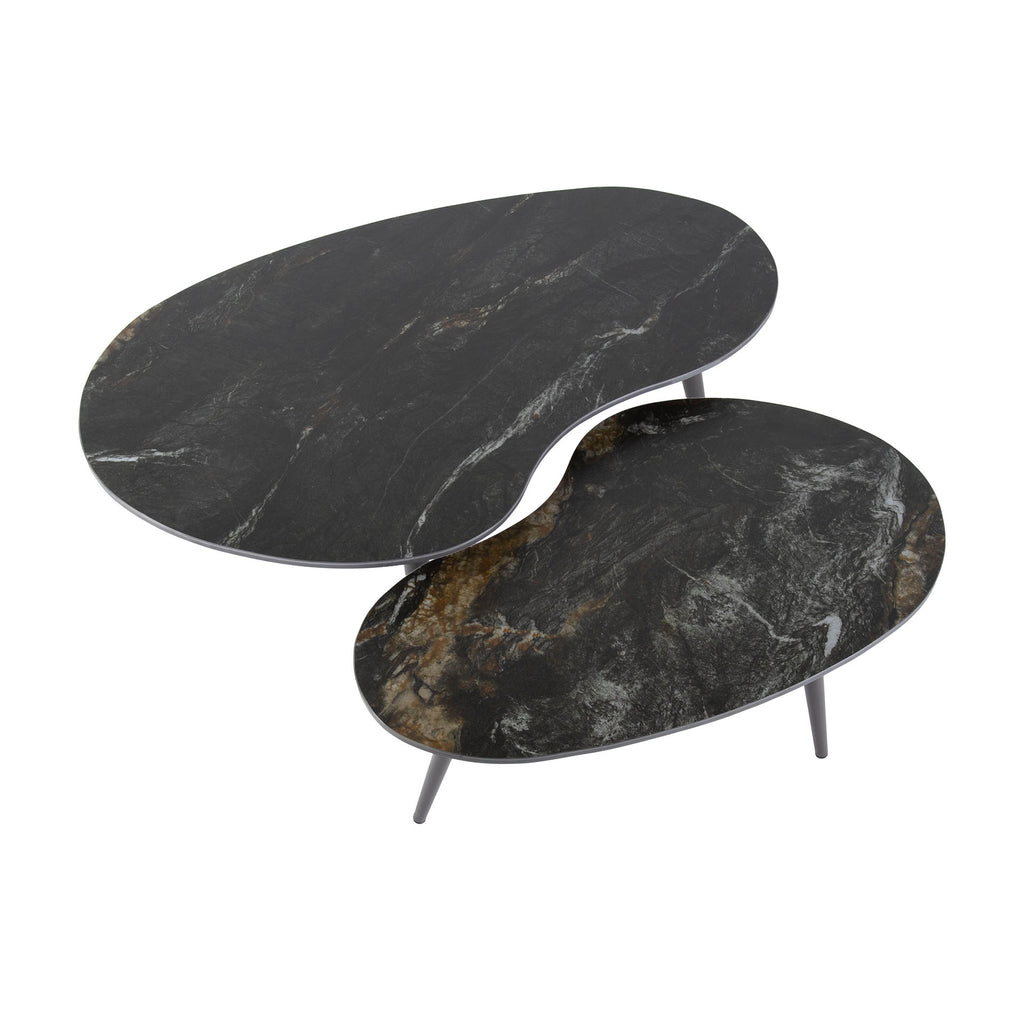 Couchtisch Fossil nierenförmig Set aus 2