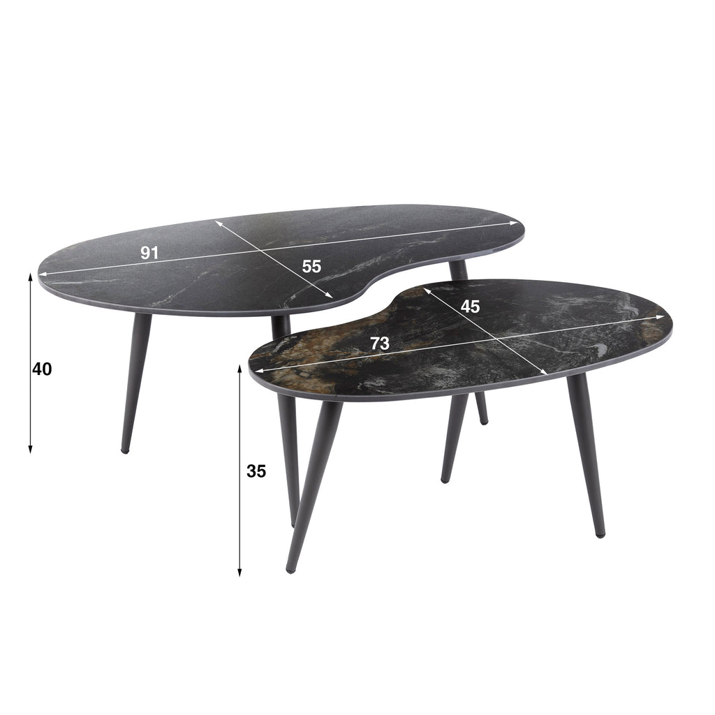 Couchtisch Fossil nierenförmig Set aus 2