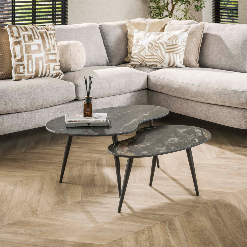 Couchtisch Fossil nierenförmig Set aus 2