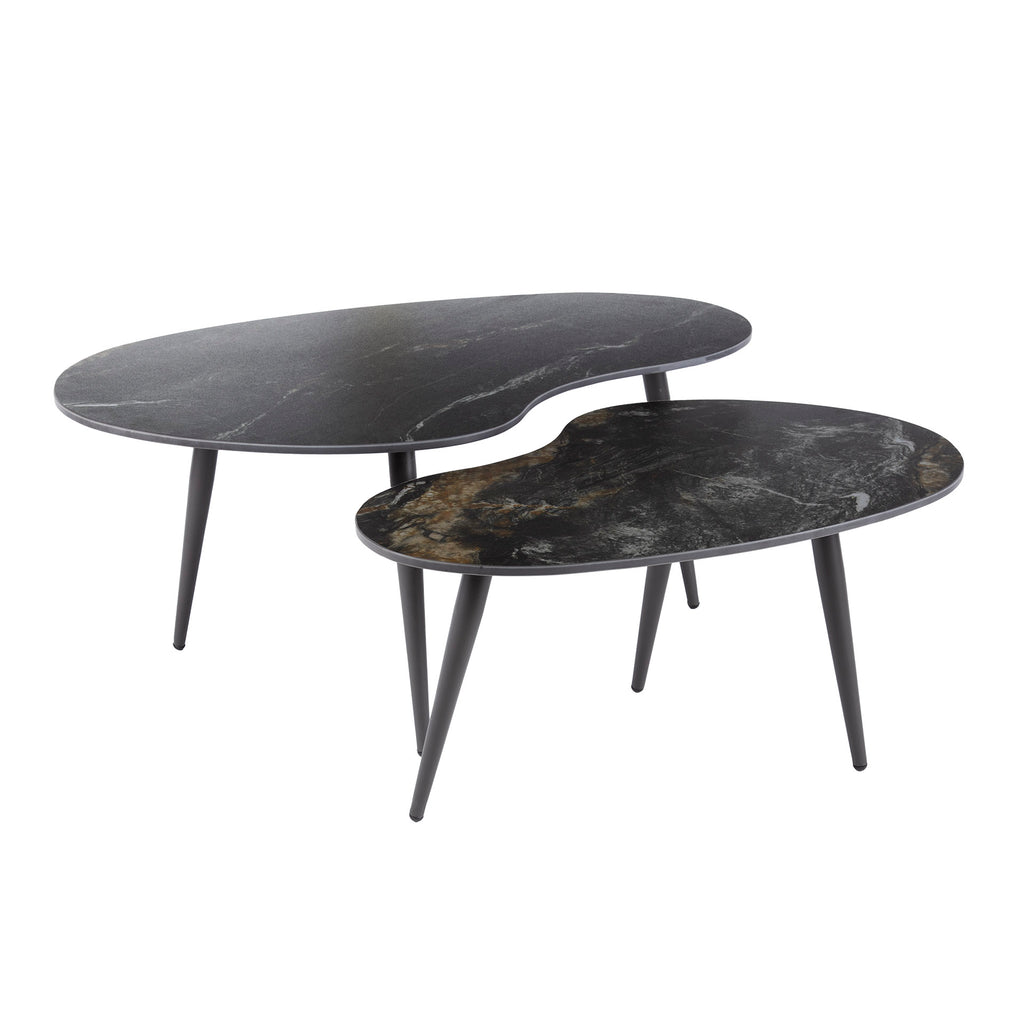 Couchtisch Fossil nierenförmig Set aus 2