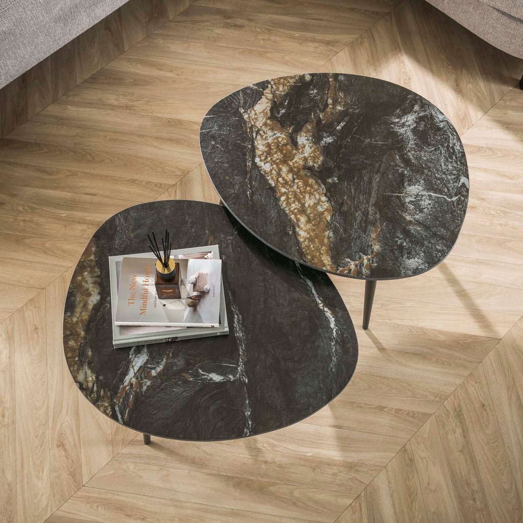 Couchtisch Fossil organisch Set aus 2