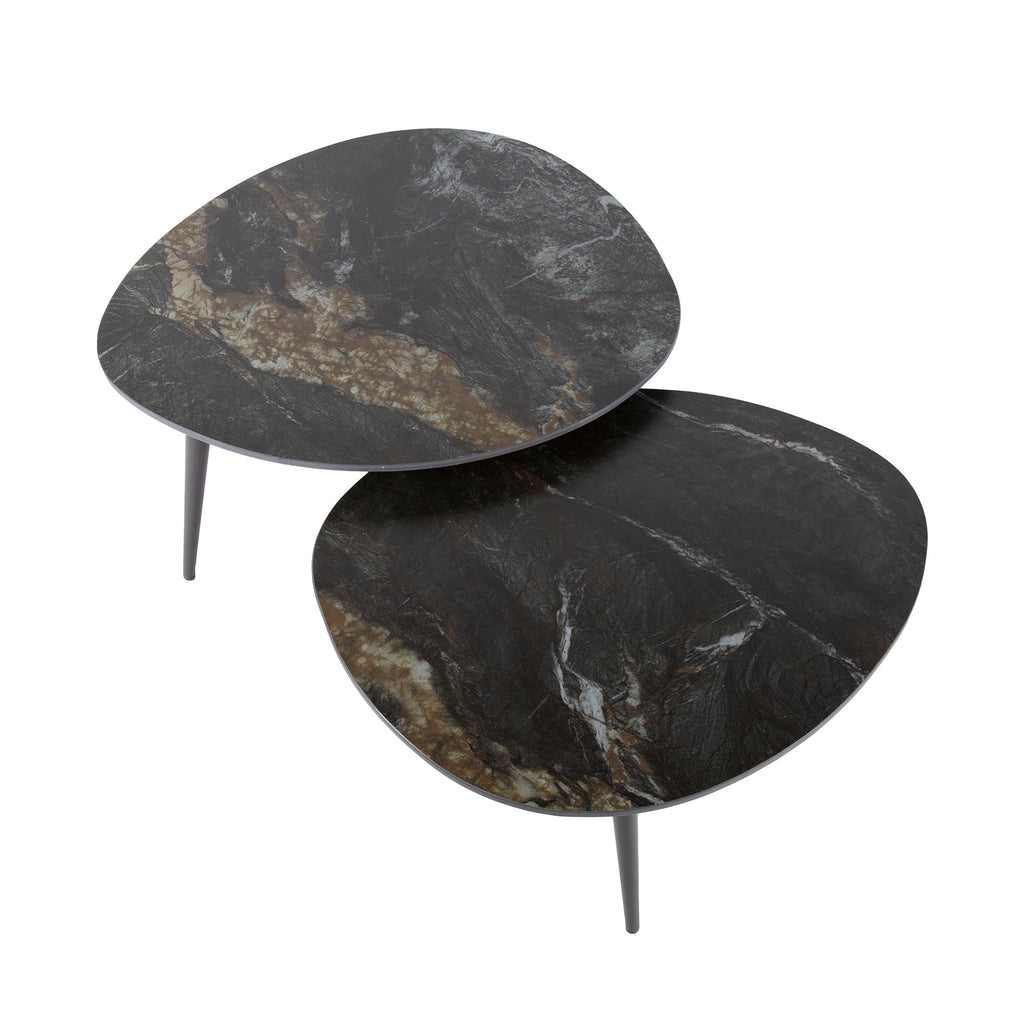 Couchtisch Fossil organisch Set aus 2